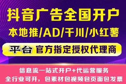 百度竞价广告与自然搜索排名的结合策略案例